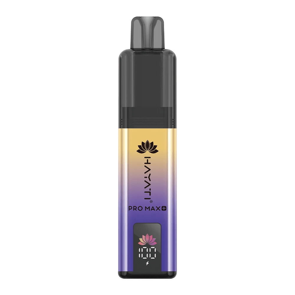 Shop Hayati Pro Max+ 6000 - Blackcurrant Mango