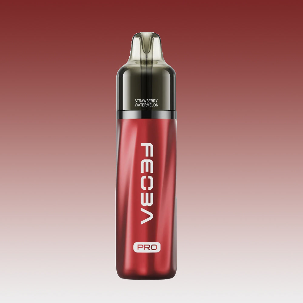 Feoba Pro 6000 Plus - Strawberry Watermelon